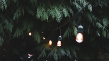 ¿Tienes todo lo que necesitas para tener un jardín o terraza perfectos?
