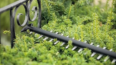 Amazon tiene en este cortasetos eléctrico de Bosch la solución definitiva para cuidar tu jardín como un profesional