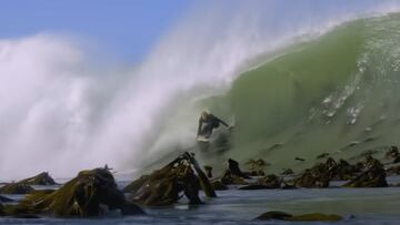 Algas en Kelp Town, Sudáfrica, con un surfista surfeando.