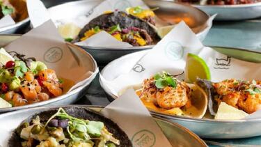Averigua a que restaurantes puedes ir con tu perro en Barcelona. ¡No lo dejes en casa!