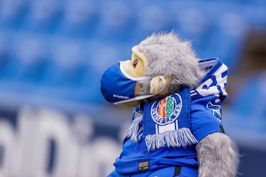 El Mono Pachón es un peluche convertido en un talismán del Getafe, nacido de la afición y bautizado en honor al ex delantero Sergio Pachón. 