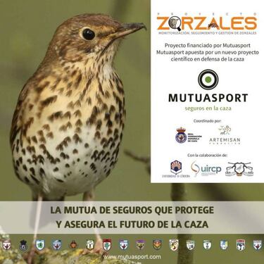 "Proyecto zorzales"