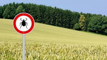 Stop garrapatas