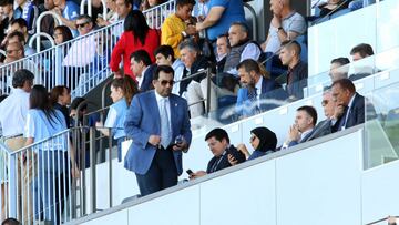 Al Thani, en el palco de La Rosaleda.