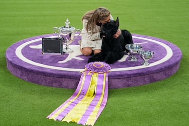 Monty, un Schnauzer gigante, tras proclamarse campeón de la 149ª Exposición Canina Anual del Westminster Kennel Club en el Centro de Convenciones Jacob Javits en la ciudad de Nueva York.