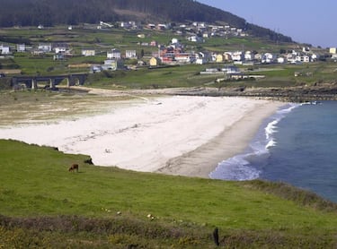 Esta playa se encuentra rodeada de naturaleza y tiene una amplía zona de arena. Está un poco aislada lo que hace que esté poco concurrida, siendo una opción ideal para aquellos que huyen del bullicio. Tiene aseos y duchas. El resto de servicios se encuntran alejados.