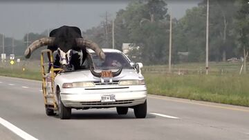 A view shows a bull riding in the passenger seat of a vehicle on a highway, in Norfolk, Nebraska, U.S., August 30, 2023, in this screen grab taken from a video. News Channel Nebraska/Handout via REUTERS ATTENTION EDITORS - THIS IMAGE WAS PROVIDED BY A THIRD PARTY.MANDATORY CREDIT.