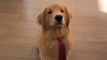 Instagram (buddyruff_)