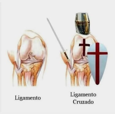 Los mejores memes de la semana