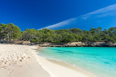 Se sitúa en el Parque Natural de Mondragó, al igual que sus vecinas Sa Amador y Es Borguit. Es una cala preciosa rodeada de rocas y pinos y es de muy fácil acceso. Su increíble arena fina y sus aguas pocos profundas harán que tu día en el mar sea de lo más agradable. En ella también encontrarás rocas para poder saltar al agua cristalina.