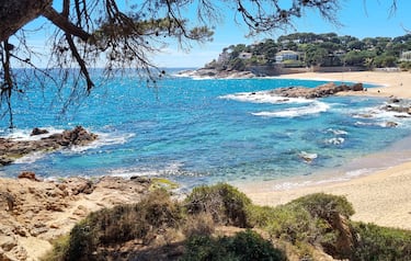 Playa que destaca por su elegancia natural y ambiente exclusivo. Rodeada de vegetación mediterránea y aguas turquesas, ofrece un entorno tranquilo y sofisticado, ideal para quienes buscan desconexión sin renunciar al confort. Su arena dorada y su acceso controlado preservan la calma incluso en temporada alta. Además, su proximidad a urbanizaciones de alto nivel y senderos costeros la convierten en un destino privilegiado en la Costa Brava.