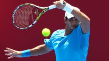 Fernando Verdasco.