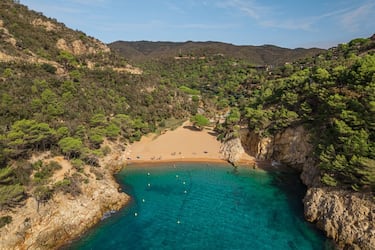 Cala Pola es una joya escondida entre acantilados y vegetación mediterránea. Su entorno natural, casi virgen, ofrece aguas cristalinas y arena dorada, ideales para el baño y el snorkel. De acceso limitado y rodeada de bosque, garantiza tranquilidad incluso en verano. La cercanía con el camping homónimo permite una experiencia completa de desconexión.