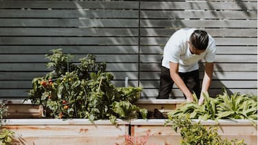 ¿Tienes todo lo que necesitas para tener un jardín o terraza perfectos?