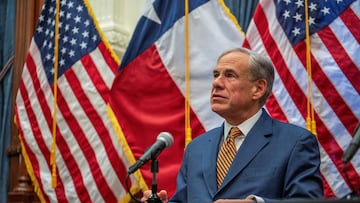 Texas Governor Greg Abbott speaks during a press conference to address the plan to deal with a New World screwworm problem, in Austin, Texas, U.S., August 15, 2025. REUTERS/Sergio Flores