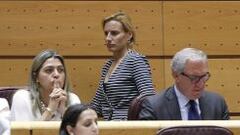 Marta Domínguez estuvo en el pleno del Senado ajena al TAS