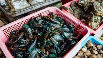 Captan al ‘abuelo ladrón’ robando 5 kg de uno de los mariscos más preciados: “Al día siguiente, faltaba la mitad”