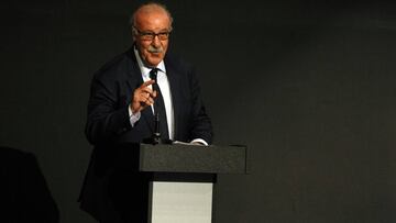 Del Bosque sigue siendo el gran favorito para ser el responsable del deporte