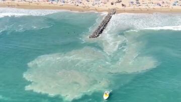 Rescate masivo en Newport Beach