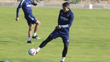 Toro Fernández.