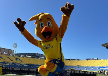 La mascota de Las Palmas es un canario. Su nombre hace referencia al sonido que emite un pollo, y es un apodo común para los jugadores y seguidores del equipo.