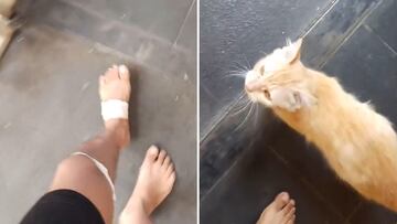 La reacción de un gato al ver que su dueño está cojo: no se emocionen