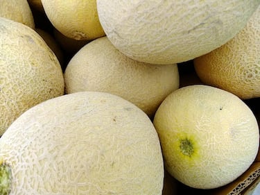 Raphaël Gruman, dietista, explica la cantidad de melón que no debes exceder al día: “Esto lo convierte en una fruta ideal”