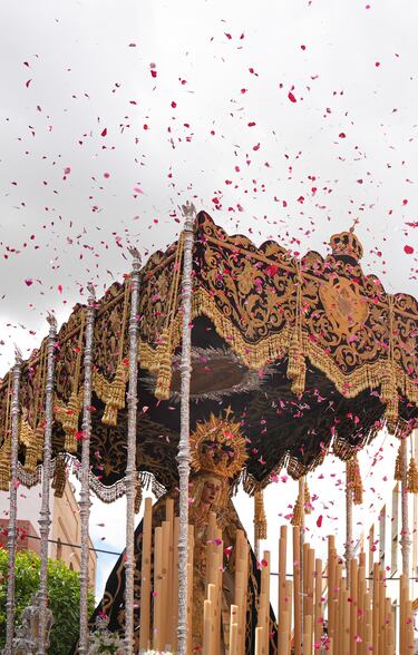 Imágenes de la Hermandad del Cerro del Águila que hace estación de penitencia este Martes Santo en Sevilla. 