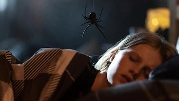 Sting Araña asesina