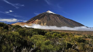 Parque Nacional del Teide / Tenerife.