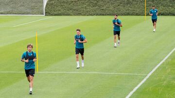 Los leones en Lezama.