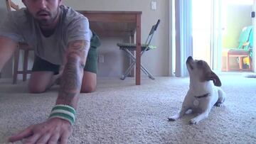 Deporte en equipo: Un perrito practica Yoga con su amo