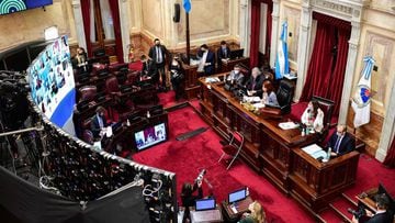 View of the Argentinian Senate, presided by Argentinian Vice-President Cristina Fernandez de Kirchner (3-R), during a session in which a judicial reform is being discussed in Buenos Aires, on August 27, 2020. (Photo by RONALDO SCHEMIDT / AFP)