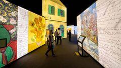 Meet Vincent Van Gogh: cuándo parte, precios, cómo y dónde comprar entradas para el evento