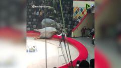 Escena impactante en Rusia: dos elefantes se pelean durante una actuación en un circo...