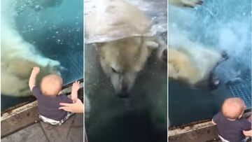 El enorme oso polar intent&oacute; atacar a un beb&eacute; que se sentaba junto a la mampara de protecci&oacute;n.