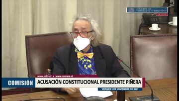 Cantó y habló de Bielsa y Brereton: la insólita intervención de Florcita Motuda en la acusación contra Piñera