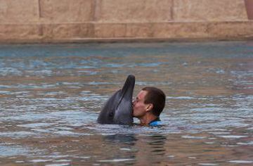 El tenista checo, Tomas Berdych, besa a un delfín.
