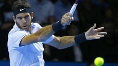 Consulta el resultado y el resumen de la final del ATP 500 de Basilea entre Roger Federer y Juan Mart&iacute;n del Potro.