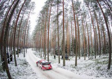 Los árboles suecos no se fían del piloto de rallyes irlandés Craig Breen. O eso desprende el efecto de esta imagen en la que los árboles parecen querer apartarse al paso del coche en una de las etapas del Rally de Suecia. 