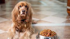 These are the batches of pet food recalled after salmonella outbreak