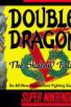 Carátula de Double Dragon V: The Shadow falls