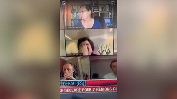 Belgian health minister caught picking nose in video conference live on TV