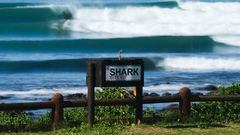 Surf en J-Bay, Sudáfrica, con un kit para ataques de tiburón.