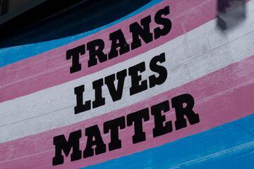 'Trans lives matter' is imposed on the front of a transgender pride flag.