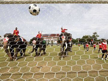 Goal! An elephant finds the back of the net in Bangkok today.