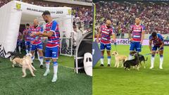 La imagen más tierna del fin de semana fue el equipo de Fortaleza saliendo a la cancha acompañados de perros, con la intención de que los fans puedan adoptarlos.