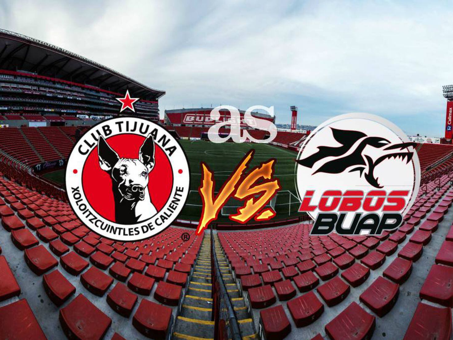 Tijuana vs Lobos (3-1): Resumen del partido y goles - AS México