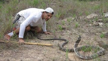 Frank delante de una serpiente 