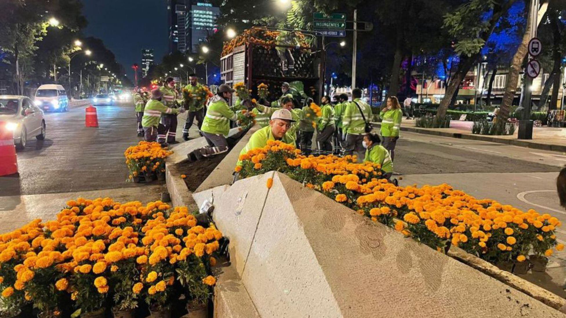 Flores de cempasúchil adornan avenidas de la CDMX por Día de Muertos - AS  México